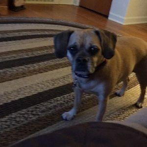 Meet your Posher, Denise